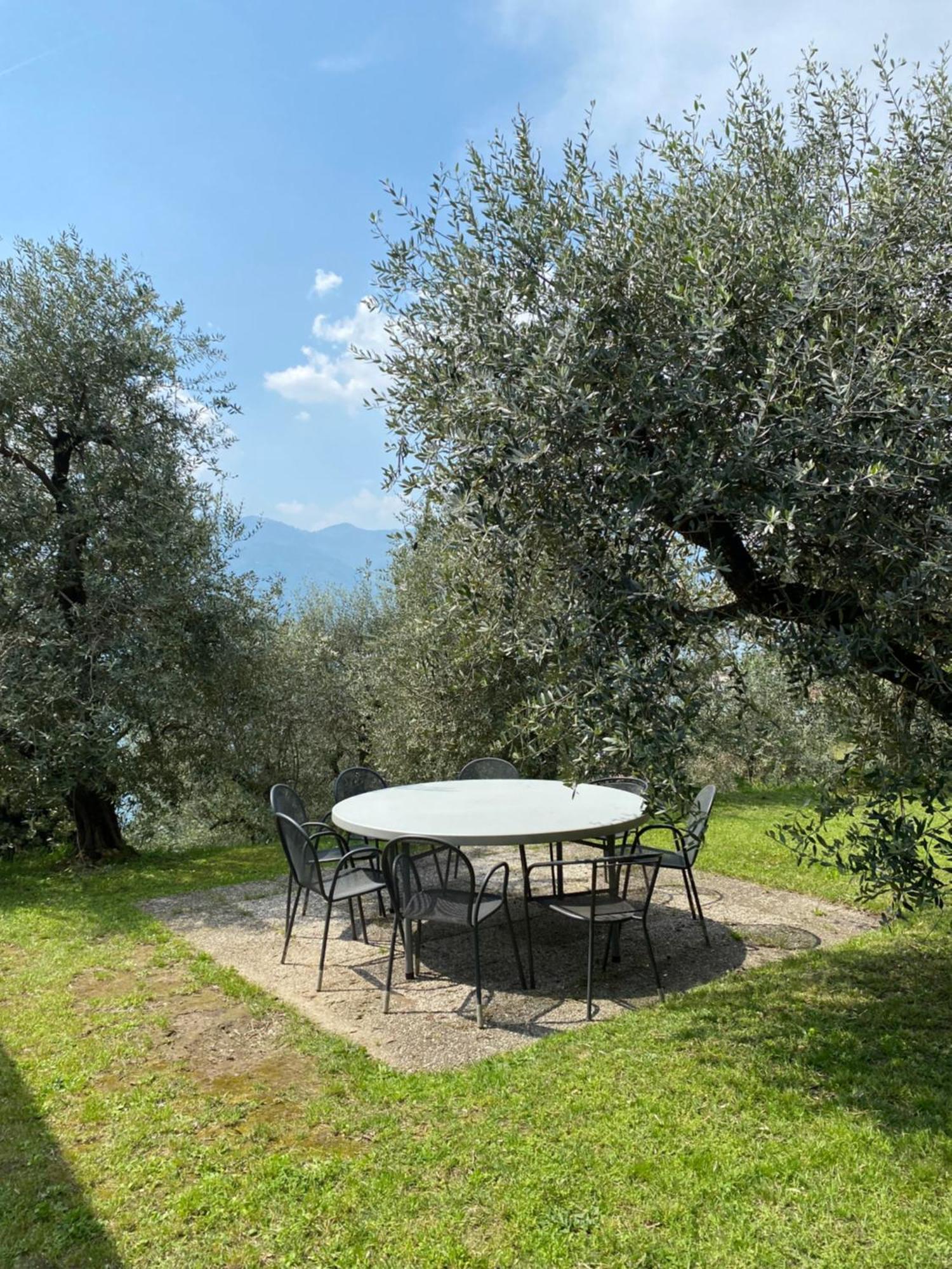 Villa Smeraldo サーレ・マラジーノ エクステリア 写真